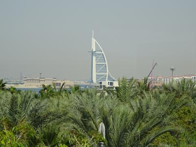 Dubai 33